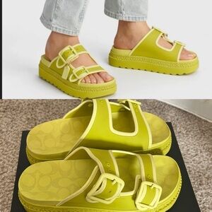 Coach Lucy Platform Slide Sandal Key Lime with box